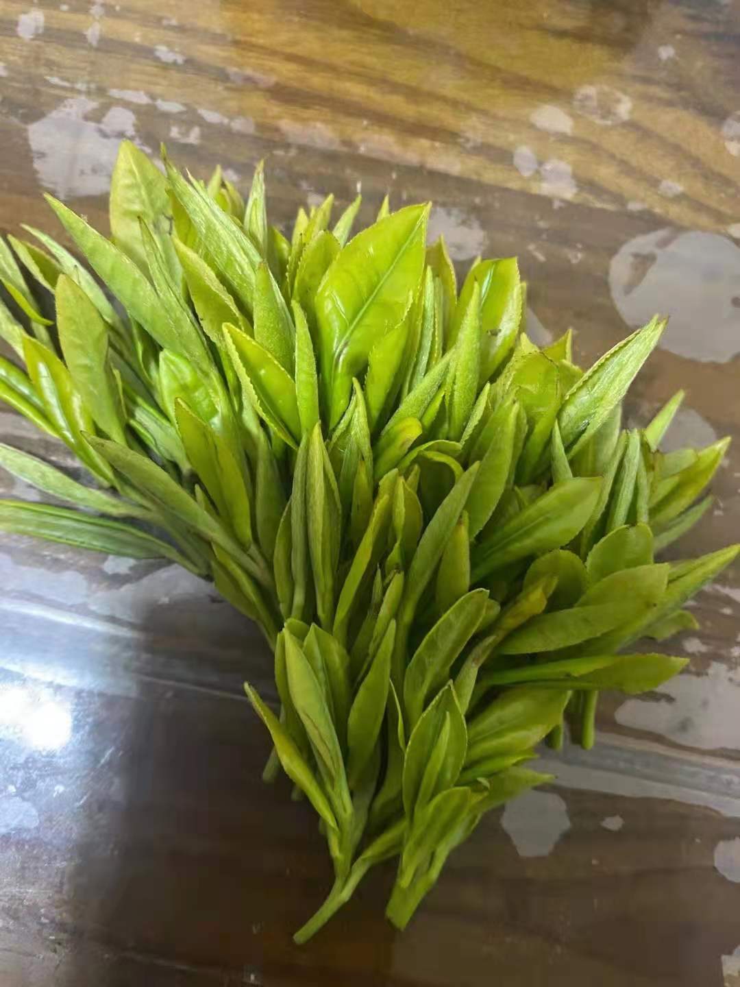 1626438261568511.jpg 皇茶園{甘露}.jpg