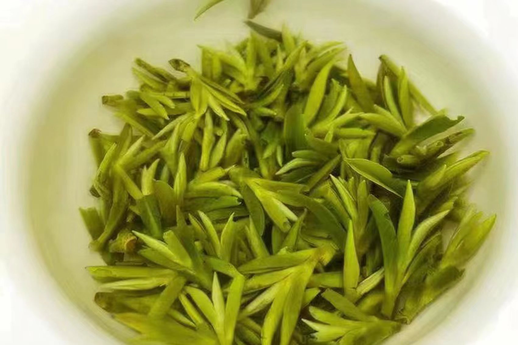 1677766413192762.jpg 15.jpg